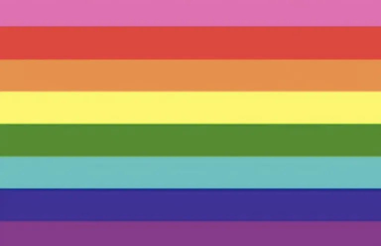 Care este diferența dintre LGBT și LGBT+? Care este diferența dintre LGBT și LGBT+?